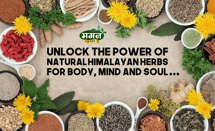 Harnessing the Power of Natural Spices: A Guide to Healthy Habits