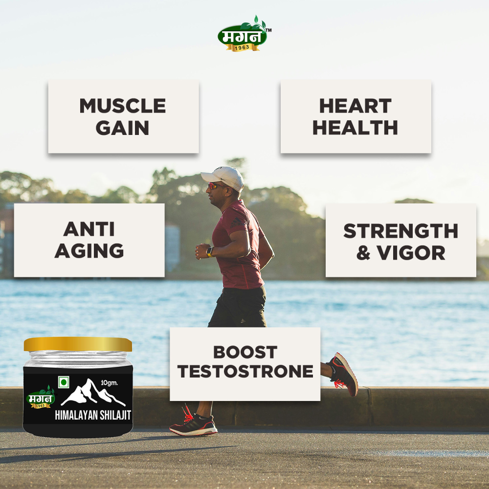 shilajit_11