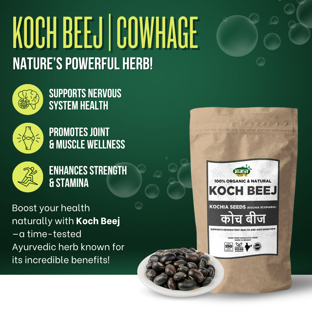 Koch-Beej-3