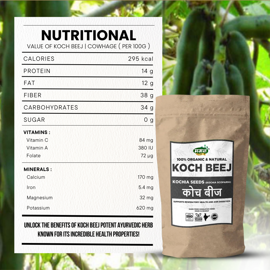 Koch-Beej-4