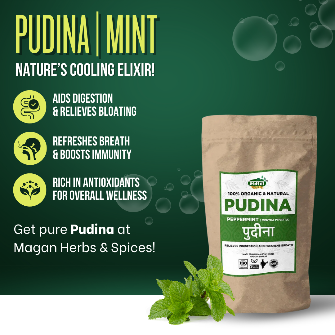 Pudina-3