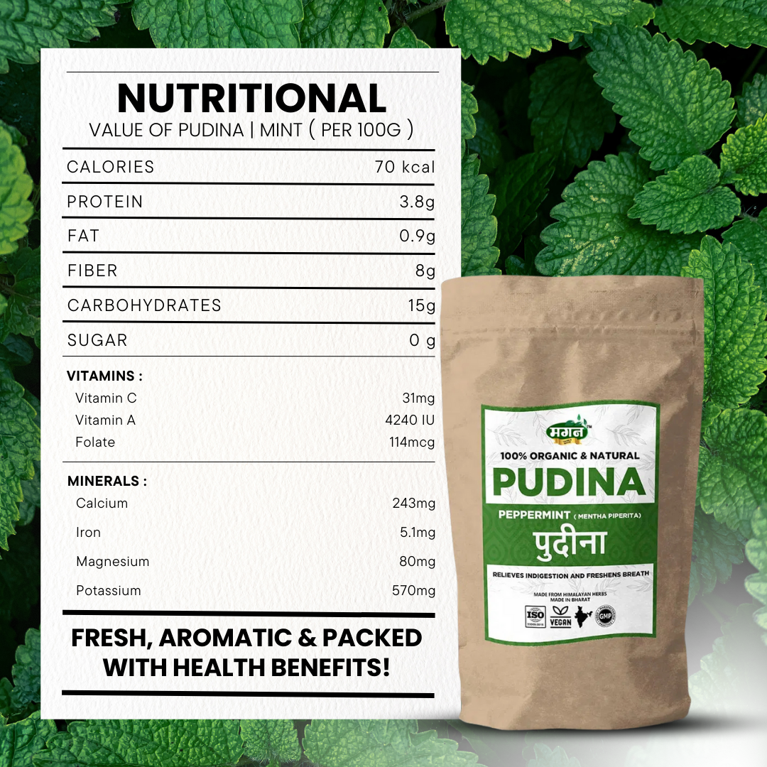 Pudina-4