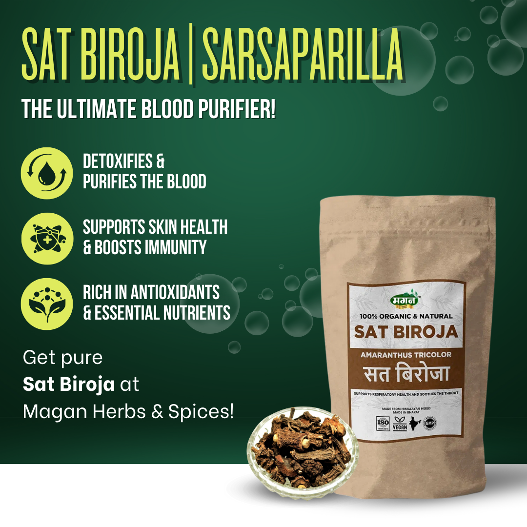 Sat-Biroja-3