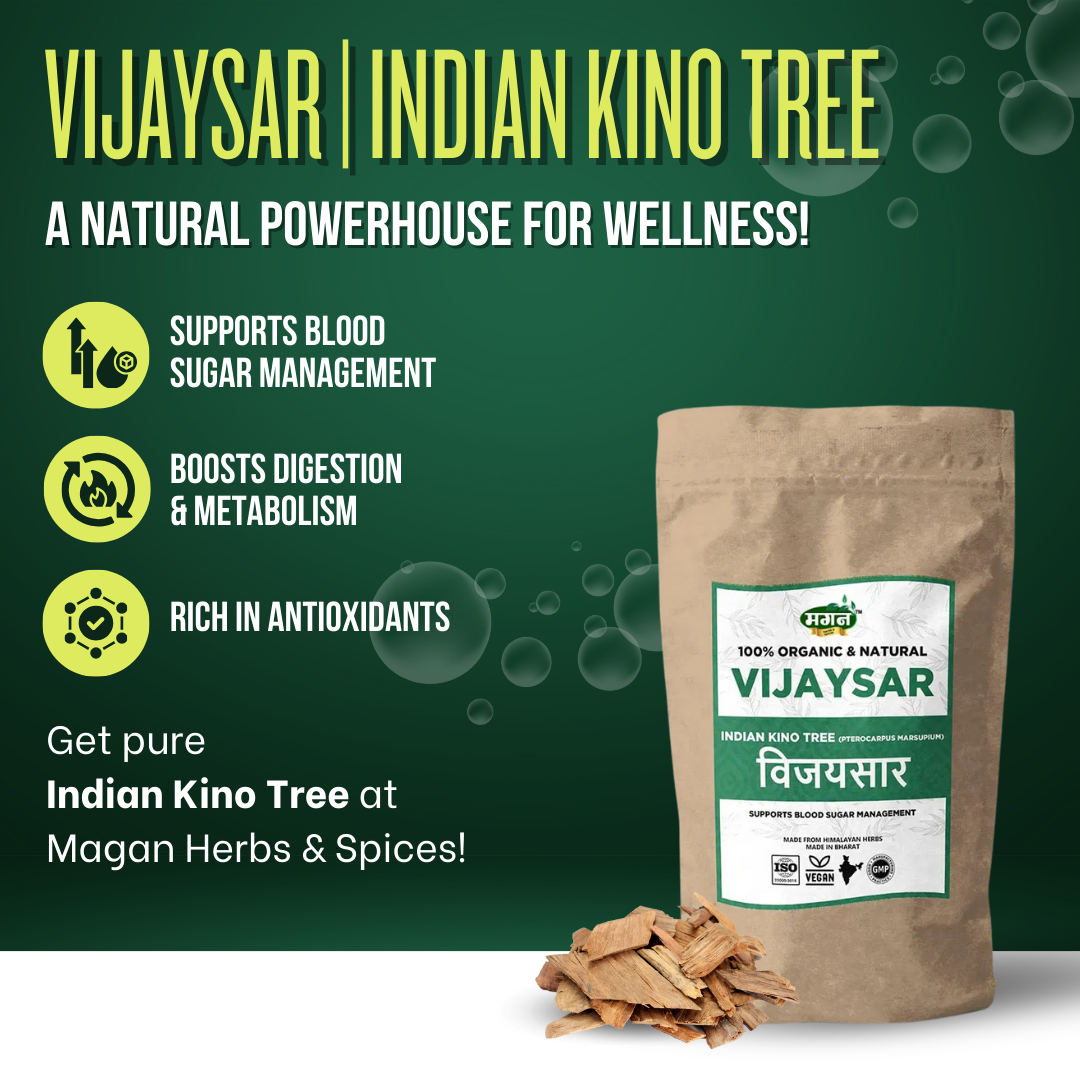 Vijaysar-3